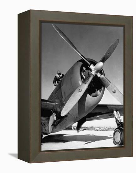 American P-47 Thunderbolt Fighter Plane and its Pilot-Dmitri Kessel-Framed Premier Image Canvas