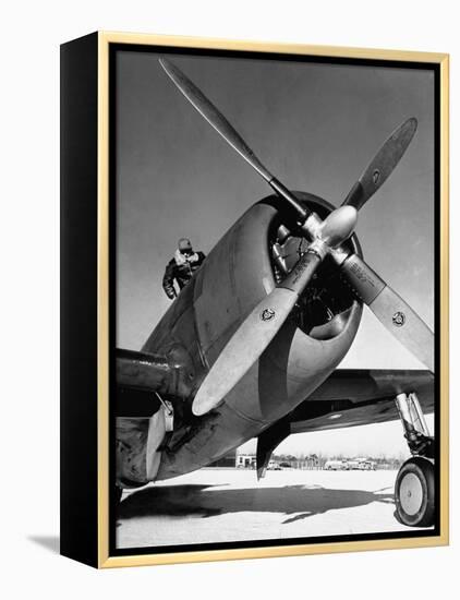 American P-47 Thunderbolt Fighter Plane and its Pilot-Dmitri Kessel-Framed Premier Image Canvas