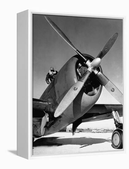 American P-47 Thunderbolt Fighter Plane and its Pilot-Dmitri Kessel-Framed Premier Image Canvas