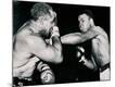 Premium Photographic Print