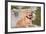 American Pit Bull Posing for a Picture-Zandria Muench Beraldo-Framed Photographic Print