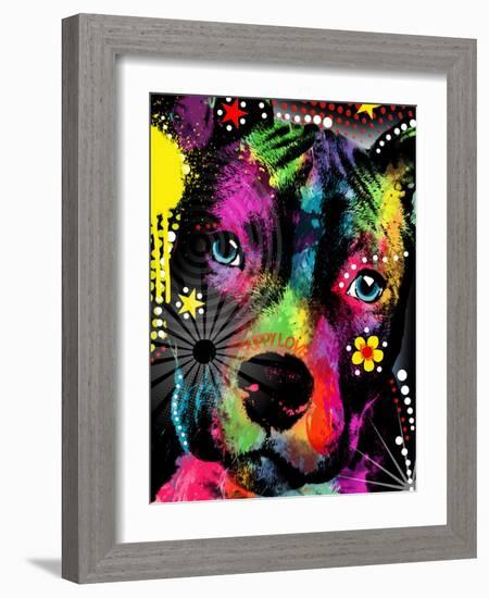 American Pit Bull-Mark Ashkenazi-Framed Giclee Print