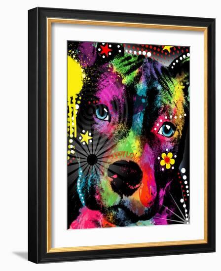 American Pit Bull-Mark Ashkenazi-Framed Giclee Print