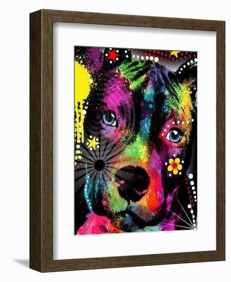 American Pit Bull-Mark Ashkenazi-Framed Giclee Print