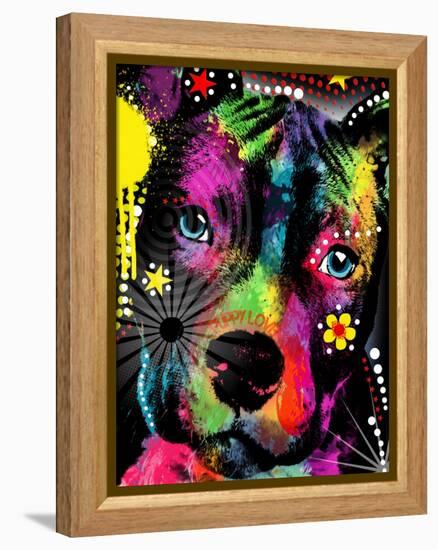 American Pit Bull-Mark Ashkenazi-Framed Premier Image Canvas