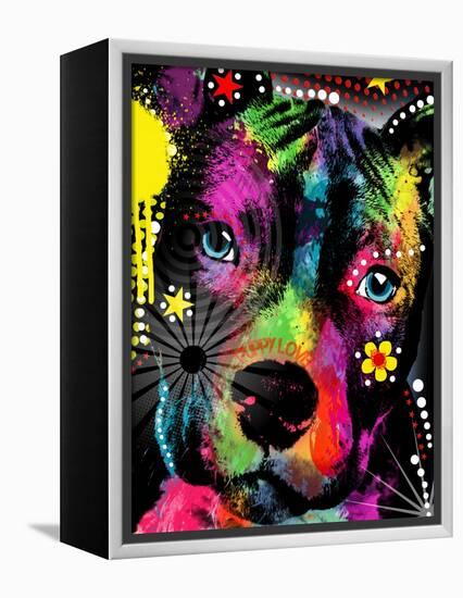 American Pit Bull-Mark Ashkenazi-Framed Premier Image Canvas