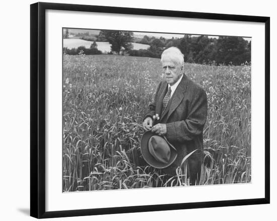 American Poet, Robert Frost Standing in Meadow During Visit to the Gloucester Area of England-Howard Sochurek-Framed Premium Photographic Print