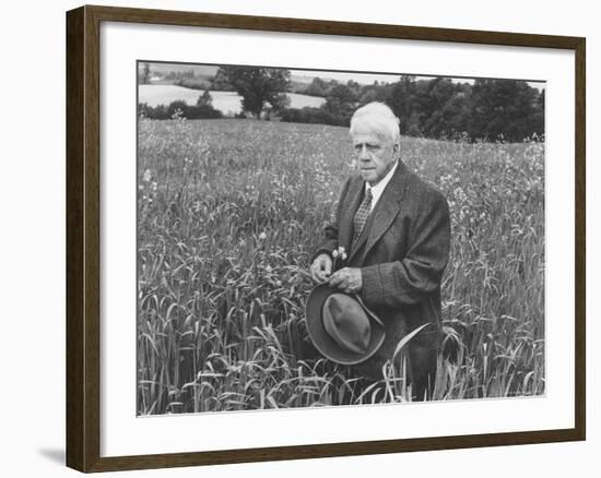 American Poet, Robert Frost Standing in Meadow During Visit to the Gloucester Area of England-Howard Sochurek-Framed Premium Photographic Print