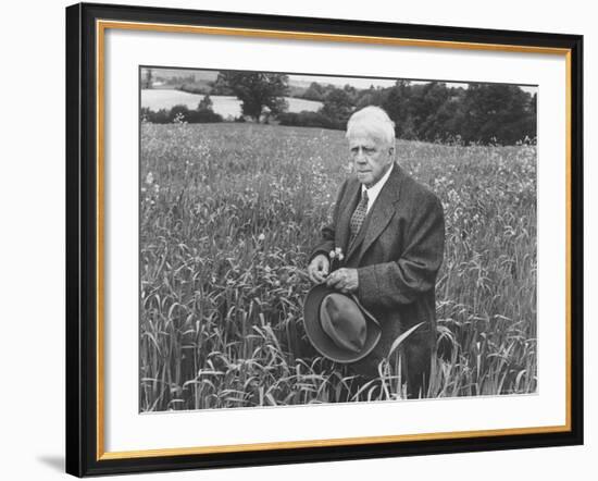 American Poet, Robert Frost Standing in Meadow During Visit to the Gloucester Area of England-Howard Sochurek-Framed Premium Photographic Print