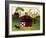 American Red Horse Barn 3-Cheryl Bartley-Framed Giclee Print