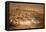 American Rheas (Rhea Americana), C.1851-76-Joseph Wolf-Framed Premier Image Canvas