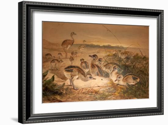 American Rheas (Rhea Americana), C.1851-76-Joseph Wolf-Framed Giclee Print