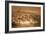 American Rheas (Rhea Americana), C.1851-76-Joseph Wolf-Framed Giclee Print