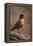 American Robin (Turdus Migratorius), Yellowstone National Park, Wyoming, United States of America-James Hager-Framed Premier Image Canvas