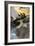 American Sailors from the "Frolic" Boarding the British Ship "Wasp," War of 1812-null-Framed Giclee Print