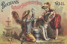 Advertisement for Buchan's Carbolic Disinfecting Soap No. 11, C.1880-American School-Giclee Print