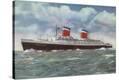 Stretched Canvas Print
