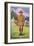 American Scout, 1923-English School-Framed Giclee Print