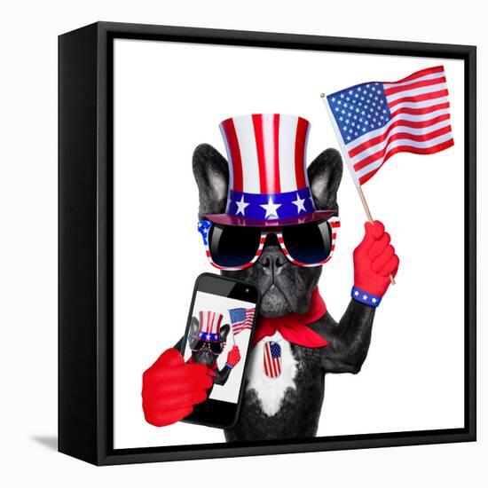 American Selfie Dog-Javier Brosch-Framed Premier Image Canvas