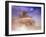 American Sherman Tank on the Move After the Battle of El Guettar-Eliot Elisofon-Framed Photographic Print