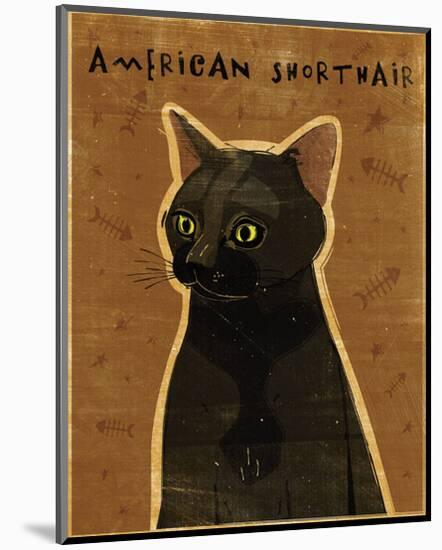 American Shorthair-John Golden-Mounted Giclee Print