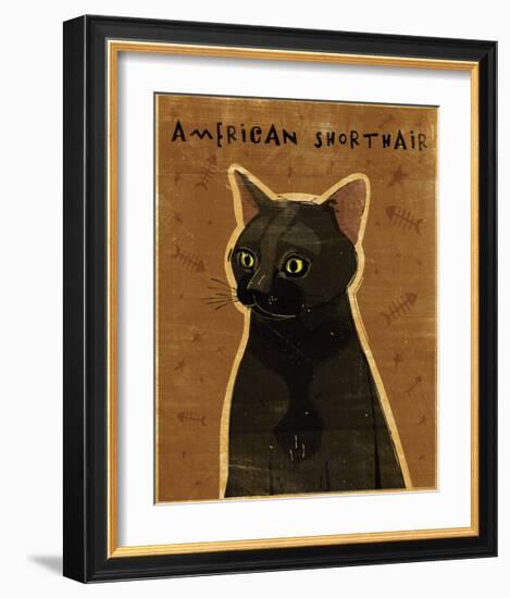 American Shorthair-John Golden-Framed Giclee Print