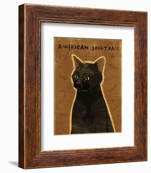 American Shorthair-John W^ Golden-Framed Art Print