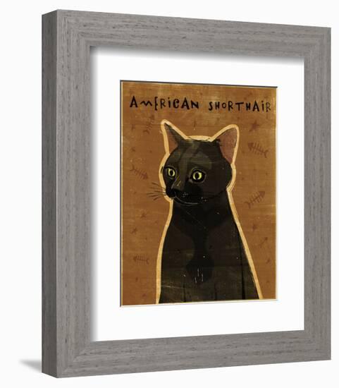 American Shorthair-John W^ Golden-Framed Art Print