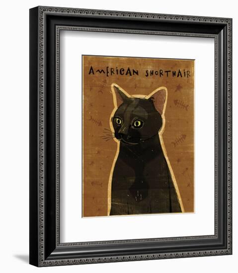 American Shorthair-John W^ Golden-Framed Art Print