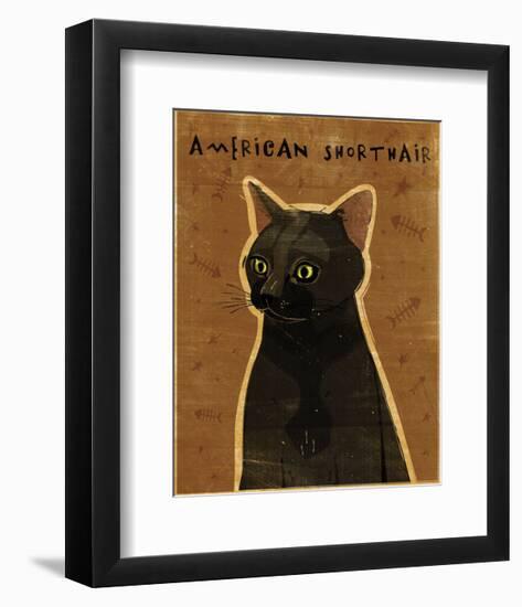 American Shorthair-John W^ Golden-Framed Art Print