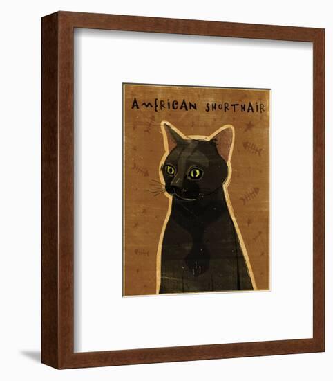 American Shorthair-John W^ Golden-Framed Art Print