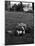 American Soldier Kissing English Girlfriend on Lawn in Hyde Park, Favorite Haunts of US Troops-Ralph Morse-Mounted Photographic Print