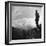 American Soldier Stands on the Hood of a Vehicle on the Ledo Road, Burma, July 1944-Bernard Hoffman-Framed Photographic Print