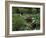 American Soldiers Wade Through Marshy Area During the Vietnam War-Paul Schutzer-Framed Photographic Print