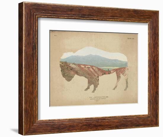 American Southwest Buffalo Distressed-Wild Apple Portfolio-Framed Premium Giclee Print