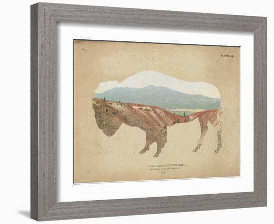 American Southwest Buffalo Distressed-Wild Apple Portfolio-Framed Art Print