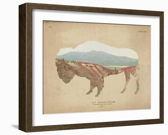 American Southwest Buffalo Distressed-Wild Apple Portfolio-Framed Art Print