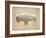 American Southwest Buffalo Distressed-Wild Apple Portfolio-Framed Art Print