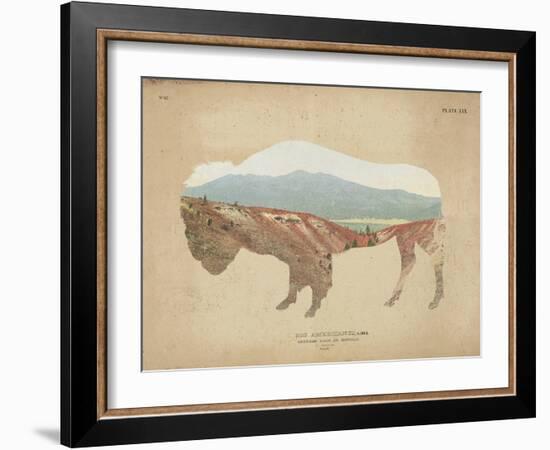 American Southwest Buffalo Distressed-Wild Apple Portfolio-Framed Art Print