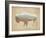 American Southwest Buffalo Distressed-Wild Apple Portfolio-Framed Art Print