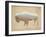 American Southwest Buffalo Distressed-Wild Apple Portfolio-Framed Art Print