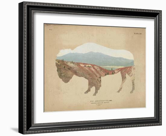 American Southwest Buffalo Distressed-Wild Apple Portfolio-Framed Art Print