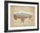 American Southwest Buffalo Distressed-Wild Apple Portfolio-Framed Art Print