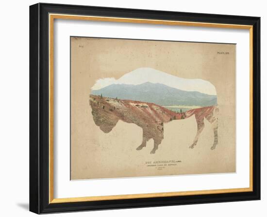 American Southwest Buffalo Distressed-Wild Apple Portfolio-Framed Art Print