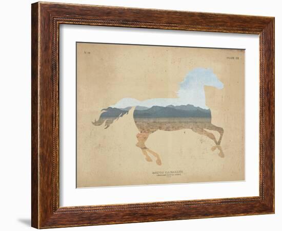 American Southwest Horse Distressed-Wild Apple Portfolio-Framed Art Print