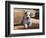 American Staffordshire Terrier Puppy Portrait-Zandria Muench Beraldo-Framed Photographic Print