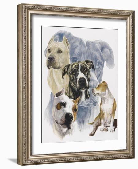 American Staffordshire Terrier-Barbara Keith-Framed Giclee Print