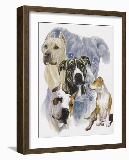 American Staffordshire Terrier-Barbara Keith-Framed Giclee Print