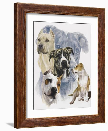 American Staffordshire Terrier-Barbara Keith-Framed Giclee Print