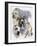 American Staffordshire Terrier-Barbara Keith-Framed Giclee Print